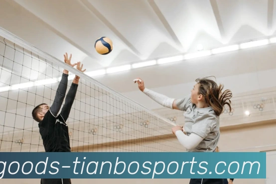 天博体育全站App 天博体育全站App